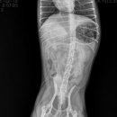 키다리아저씨 동물병원 이미지