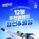 정선어드벤처
