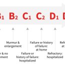 정겨운동물병원 이미지