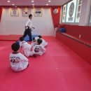 한국체대 백궁 태권도장 네이버블로그