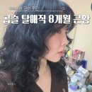 우리기초 노동조합 | 탈매직 8개월차 근황 곱슬머리 관리 히피펌 셀프커트와 프리즈 잡기