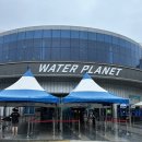 횡성 웰리힐리파크 워터파크 워터플래닛 7살 3살 아이와 다녀온 자세한 후기