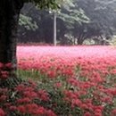 뭉치PC 이미지
