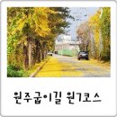원주굽이길 원7코스 반계리은행나무길 | 가을 섬강 감성 따라 걷기좋은길, 원주굽이길 반계리은행나무길