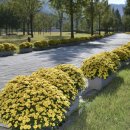 누리파크 이미지