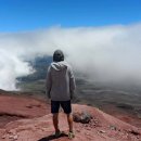 박웅 카카오 검색결과