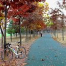 어느 날 오후 이미지