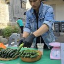 서래마을 제철 장터 그로우마켓 참여 후기 :: 오이 쌈채소 완판!!