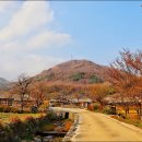 나발마을회관 네이버블로그
