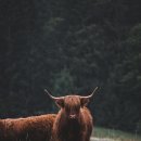 적성회맛집 이미지