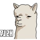 국가대표순대국 이미지