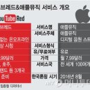 레드뮤직