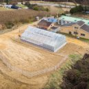 부평초등학교 신월분교 이미지