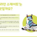 성북구민체육관 이미지