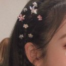 앨리헤어 이미지