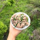 산길별채 | 기장 오리고기 맛집 정관 향토향기