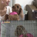 기복농장 이미지