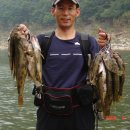 루어낚시닷컴 이미지