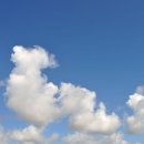 금산헤르쯔 동물병원 이미지