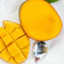 미란농장 이미지