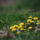 활력안마원 이미지