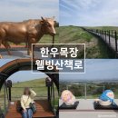 한우목장 | 서산 가볼만한곳 | 서산 한우목장 웰빙산책로 후기 (개심사 근처 힐링 산책코스)