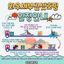 [와우세부] 선셋호핑 진행 후기