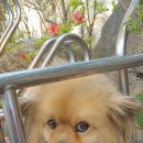 거제면사무소 이미지