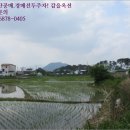 올미경로당 네이버블로그