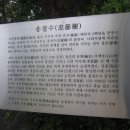 교연로 네이버블로그