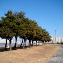 배곧한울공원 이미지