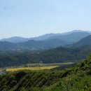 감나무골농장 이미지