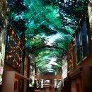 인스파이어 이미지