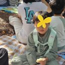 부산혜성학교 이미지