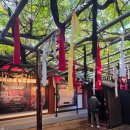 비상태권도장 | 겁쟁이 조멍치 데리고 서울랜드 나들이🎡(feat.귀신동굴)