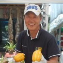 샘터농구장