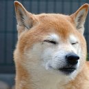 호박동물병원 이미지