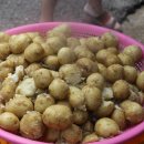 감물농장 이미지