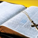 개구리목장 이미지