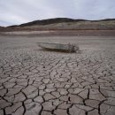 남용농장 이미지