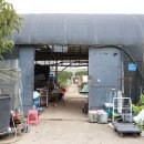 꽃회사농장 이미지