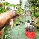 힐링카약파크비체올린 이미지