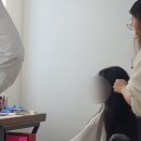 🕊️ 드디어 스튜디오 촬영! 송정 고스튜디오 '릴리' 컨셉 웨딩촬영 후기