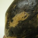 남한강 물고기 이미지