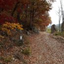 명전계곡 이미지