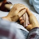 그때 왜 그랬어? 섭섭했던 거 없어?…말기 환자와 가족, 소통의 기술 이미지