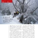 빙설화