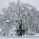 덕분에", "때문에"의 결과 이미지