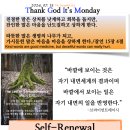 세렌디피터 이미지