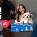 시화동물약국 이미지